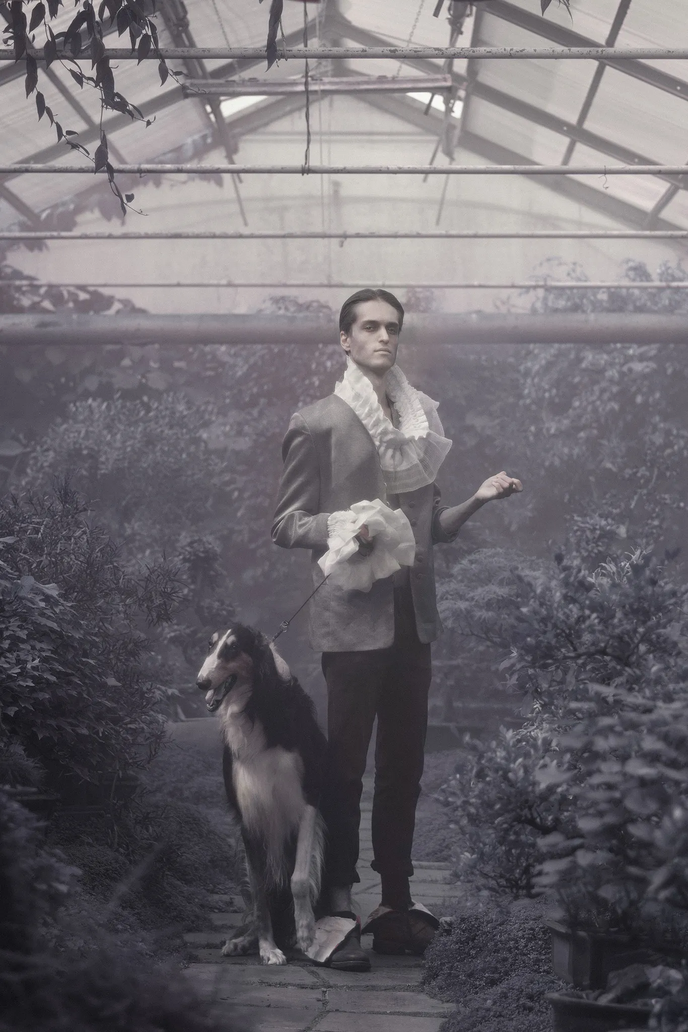 A pale man in a ruffled collar stands in a misty greenhouse, a borzoi on a lead at his side.