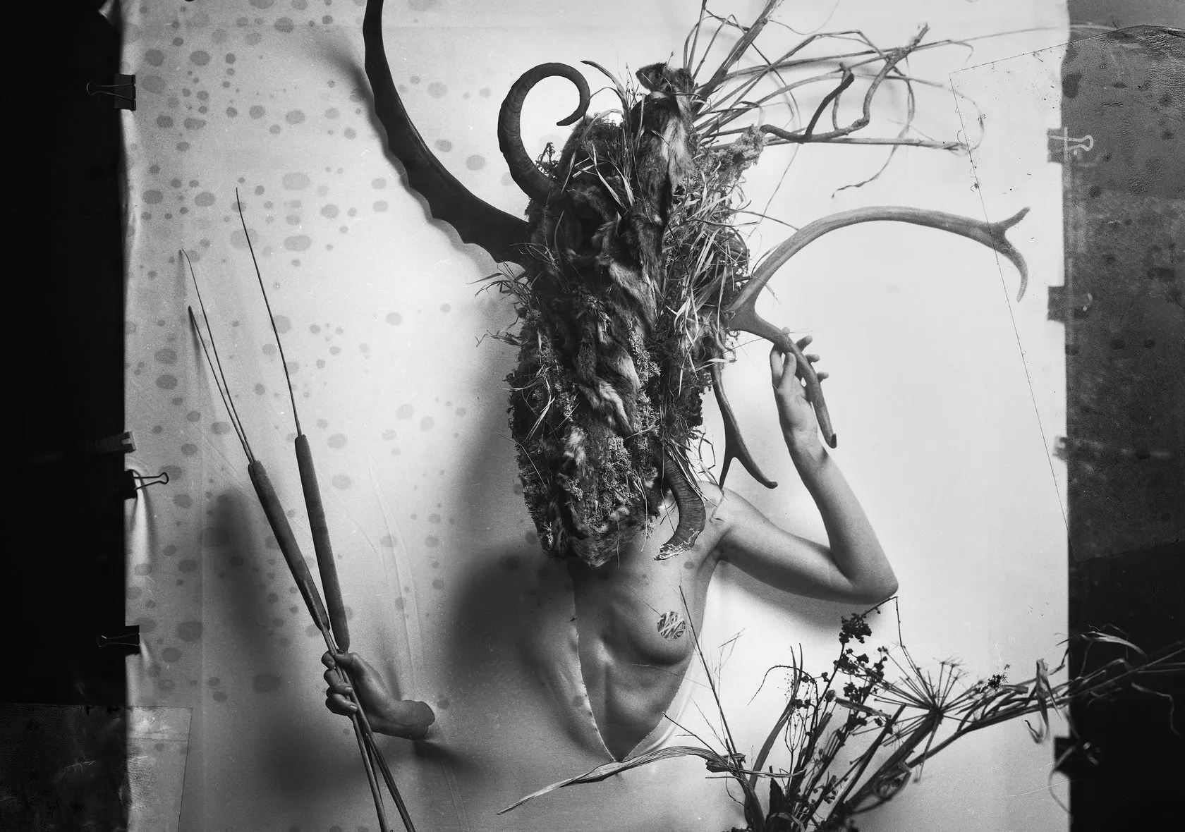 In black and white, a figure in a mask of horns, antlers and dry grass pushes through a spotted sheet, holding reeds.