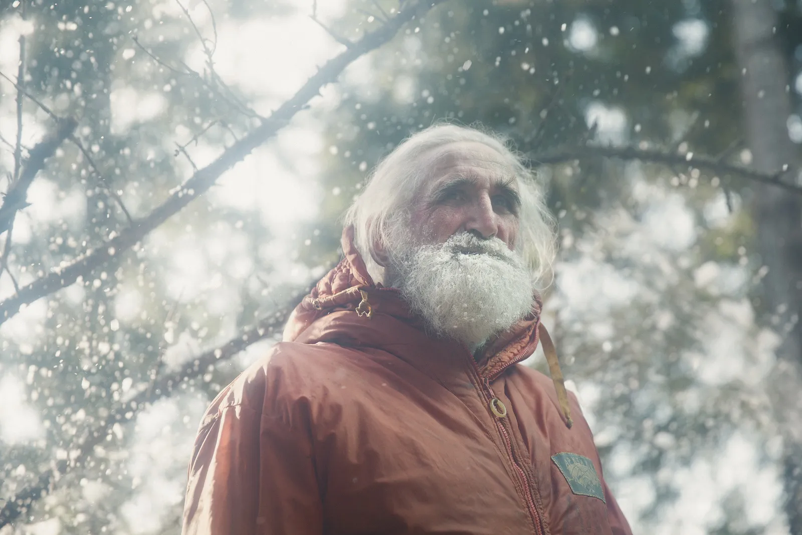 Vladimir Chukov in a red hood looks up as snow falls through the branches.