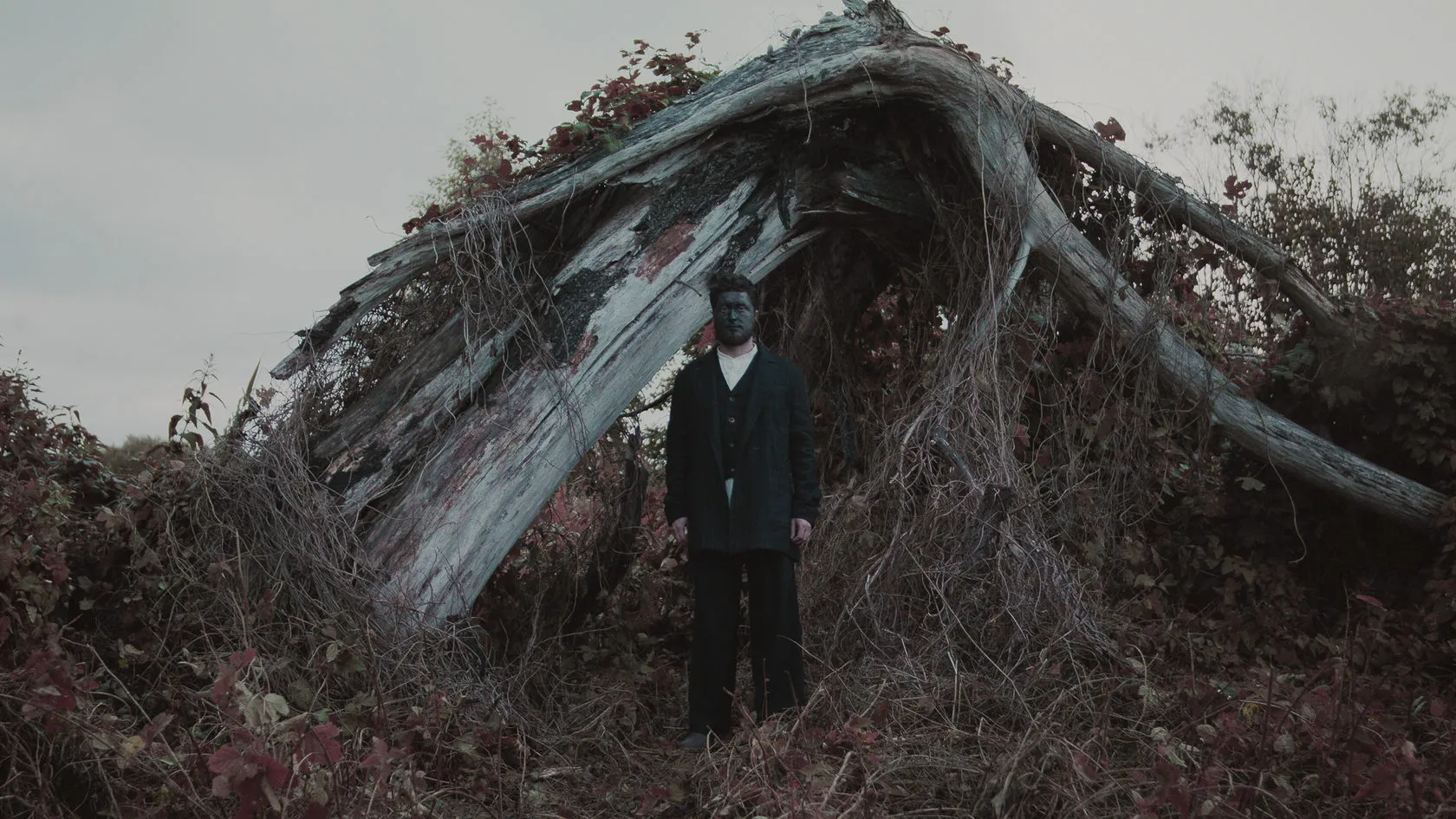 A man in a dark suit stands under the arch of a huge uprooted tree.