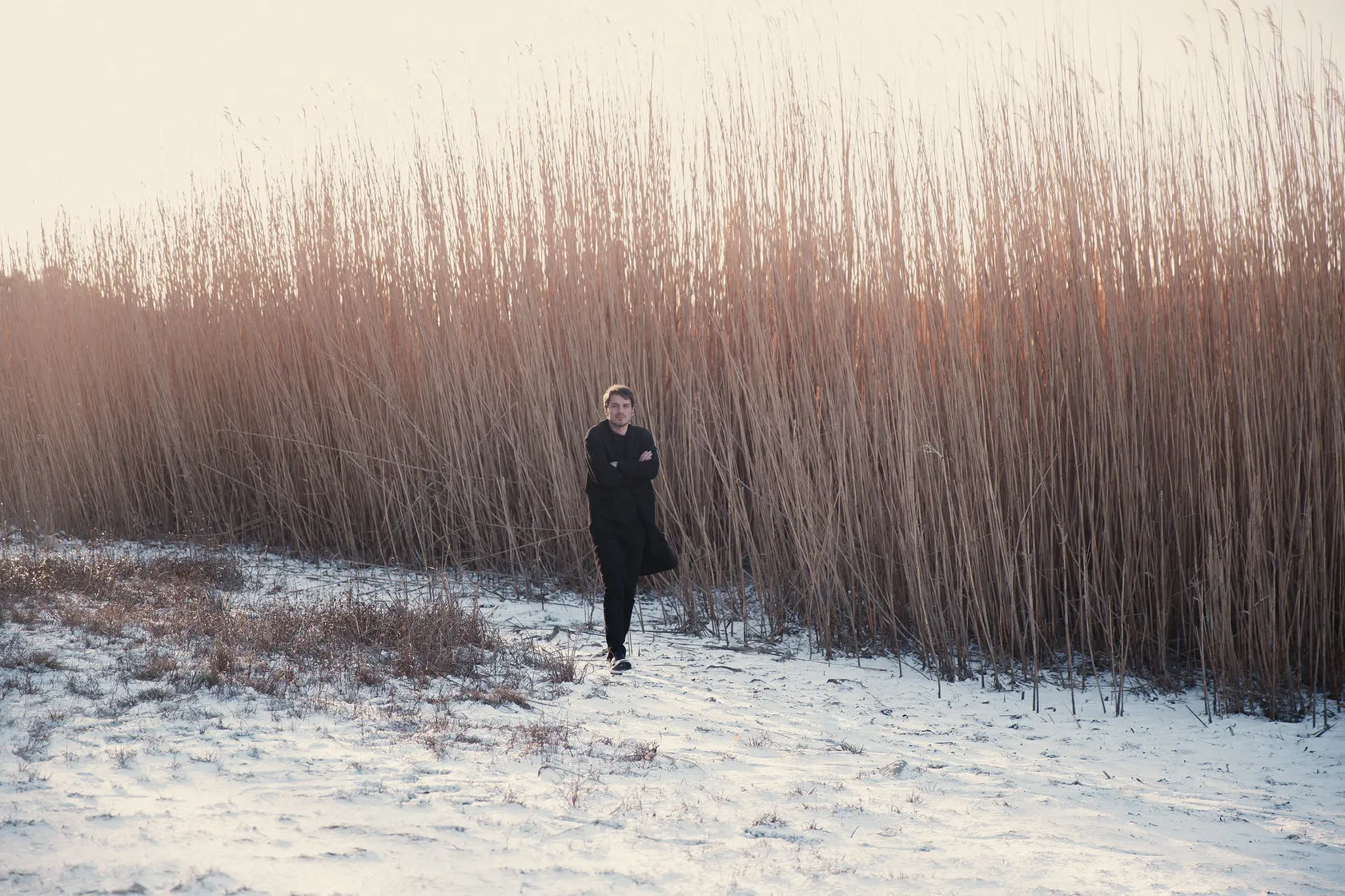 Sven walks across snow in front of a wall of tall reeds.
