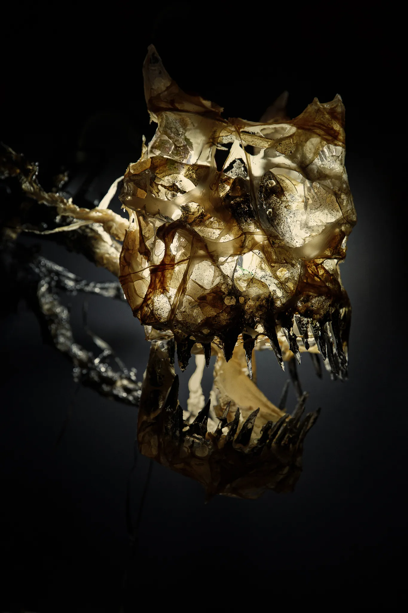 A fanged skull mask of translucent amber shards and twisted branches, lit against black.