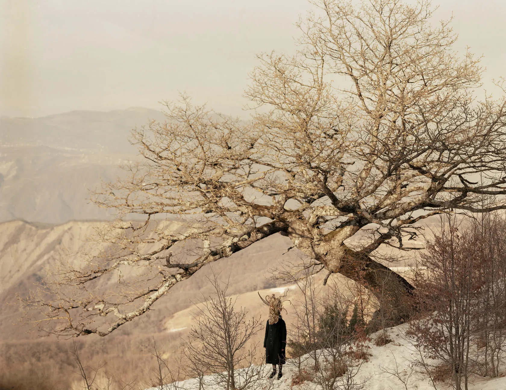 A small masked figure in a black coat stands under a huge bare tree on a snowy hillside.