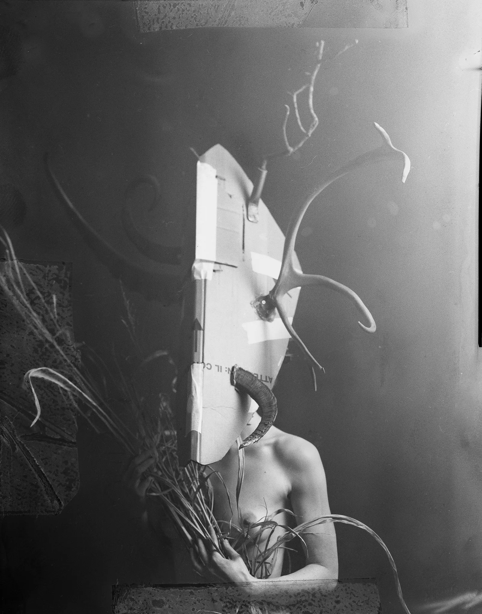 The model wears the mask’s cardboard frame, with an antler and a horn fixed on, in black and white.