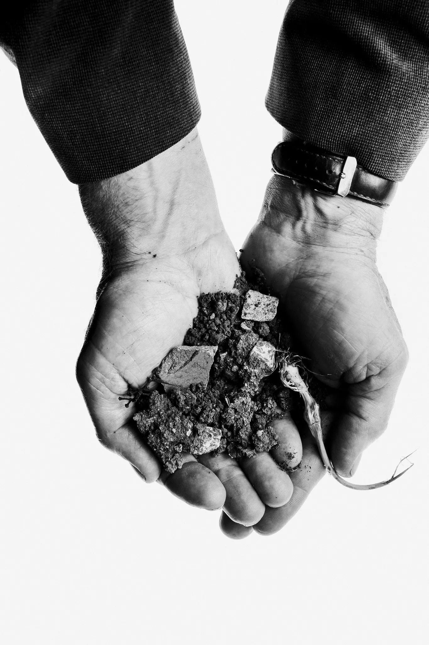 Cupped hands hold a clump of soil, stones and roots.