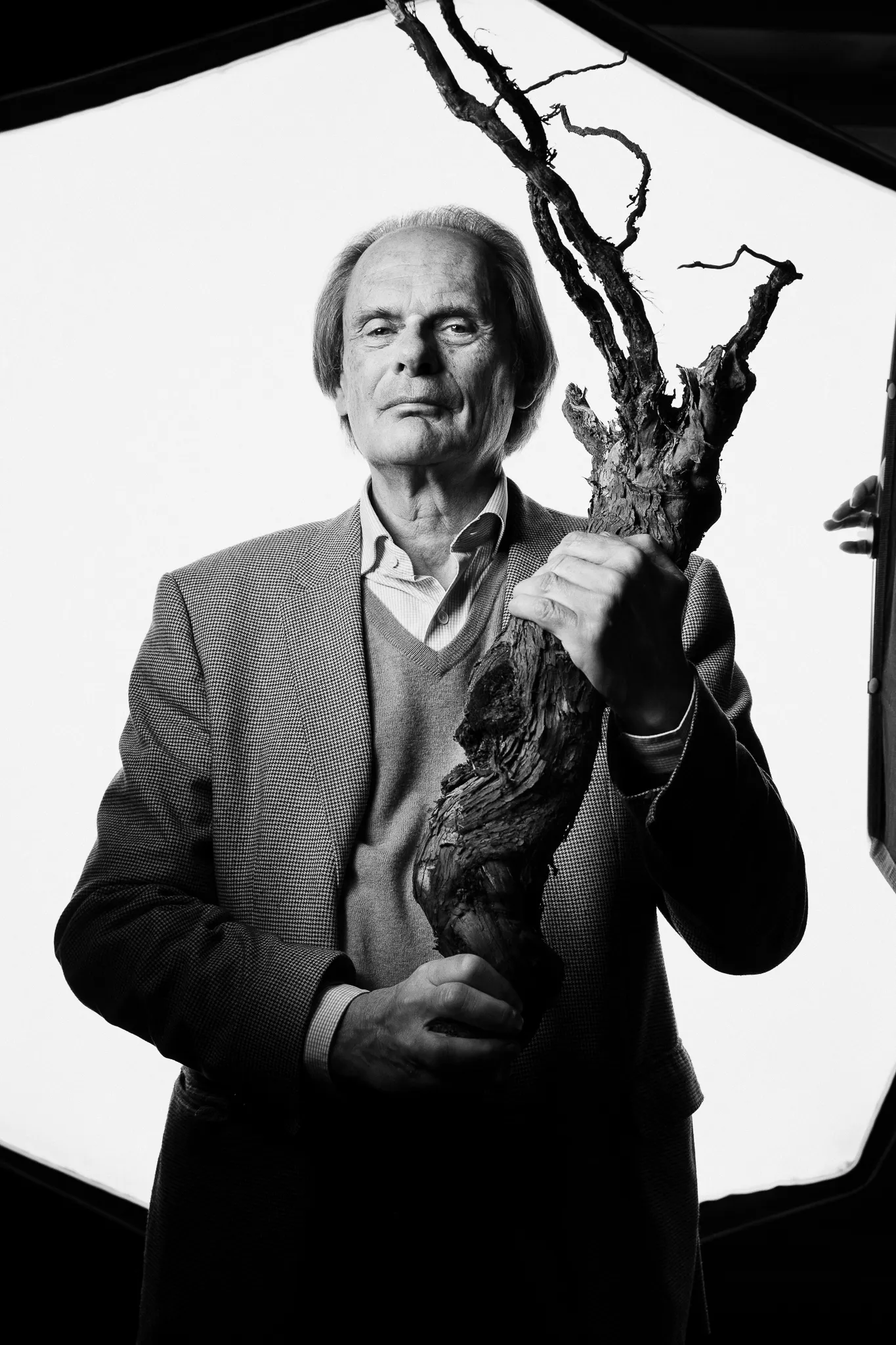 A winemaker in a tweed jacket holds an old, gnarled vine stock.
