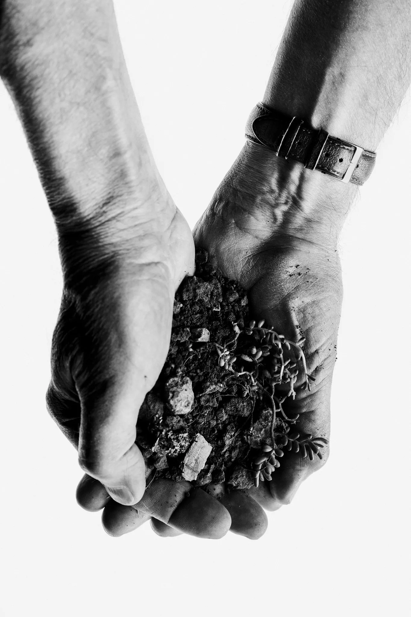 Weathered hands, a watch on one wrist, hold soil and pebbles.