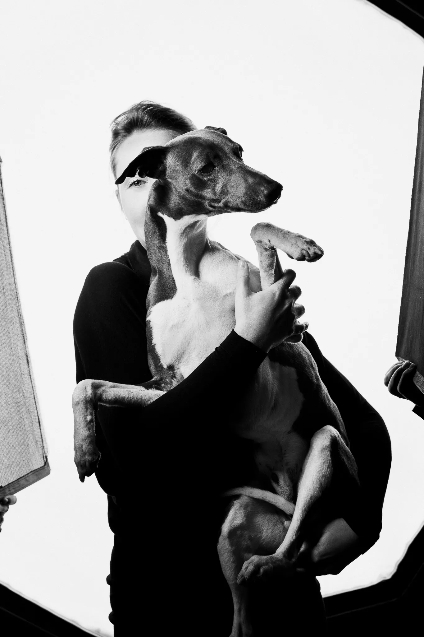 A winemaker holds up a small greyhound in front of their face.