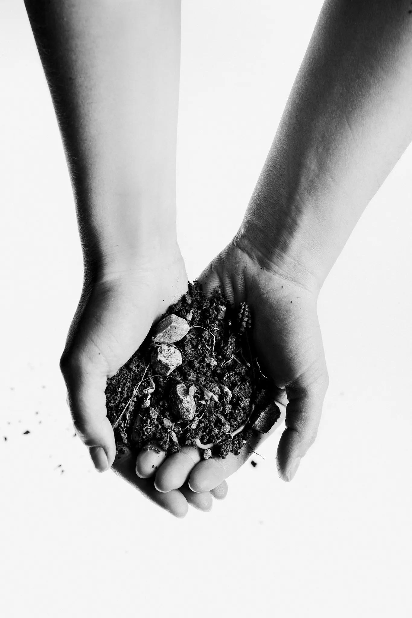 Slim hands hold a heap of soil and stones, crumbs falling.