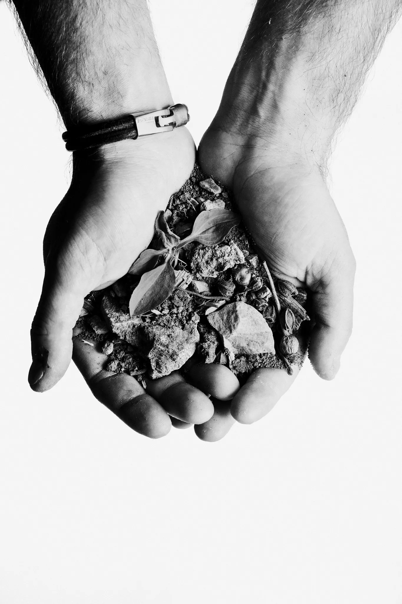 Hands, a leather band on one wrist, hold stones and green leaves.