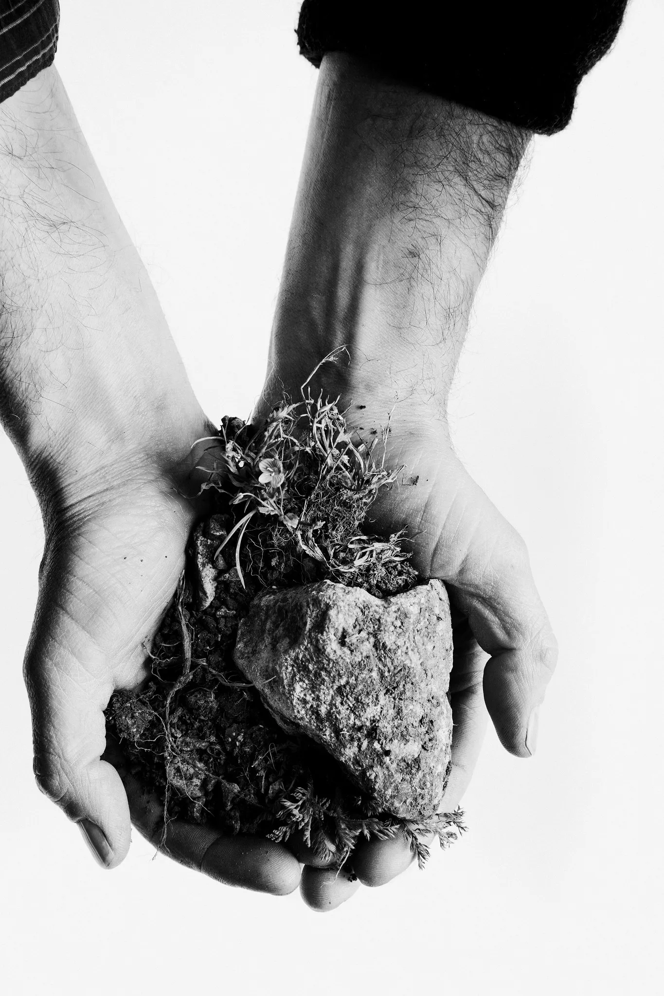 Hands hold a large stone wrapped in moss and roots.
