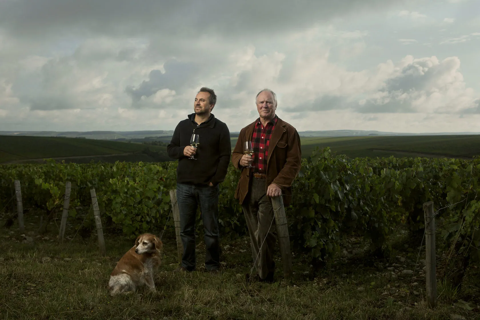 Julien and Jean-Marc Brocard stand in a vineyard with their dog.