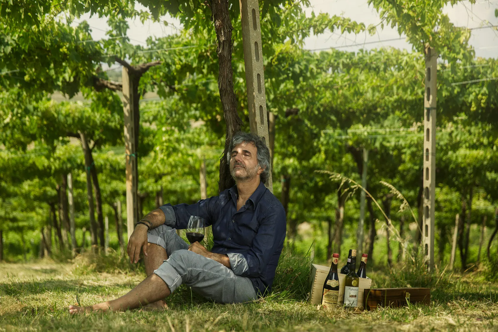 Stefano Illuminati sits in the grass under a pergola of vines, bottles beside him.
