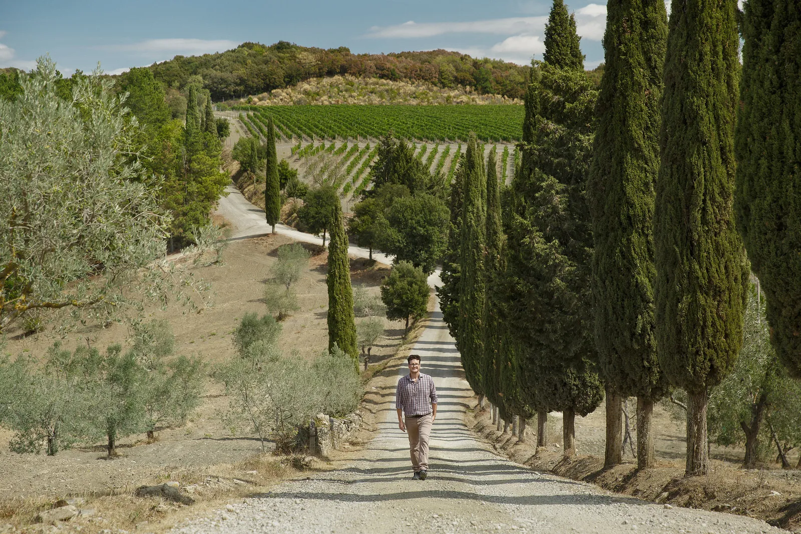Filippo Manni walks down a cypress-lined road through olive trees and vineyards.