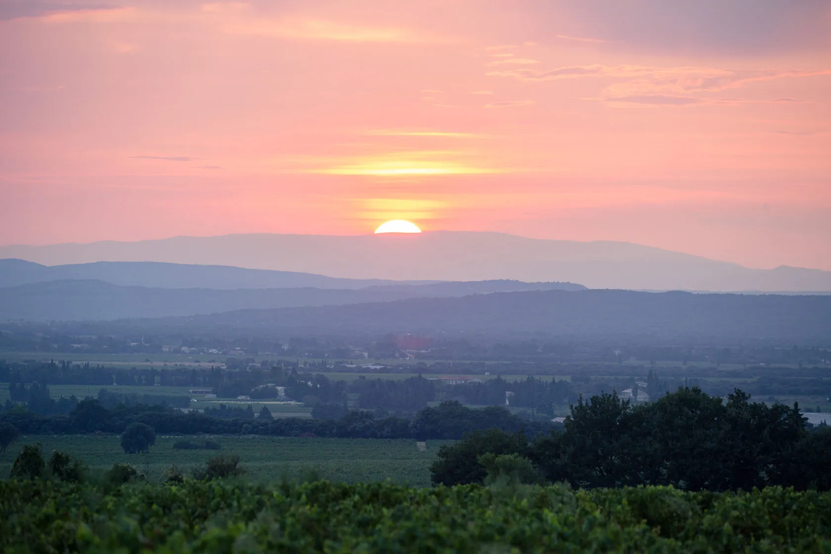 The South Rhone feature by Andrei Kovalev: a pink sunset glows over a valley of vineyards.