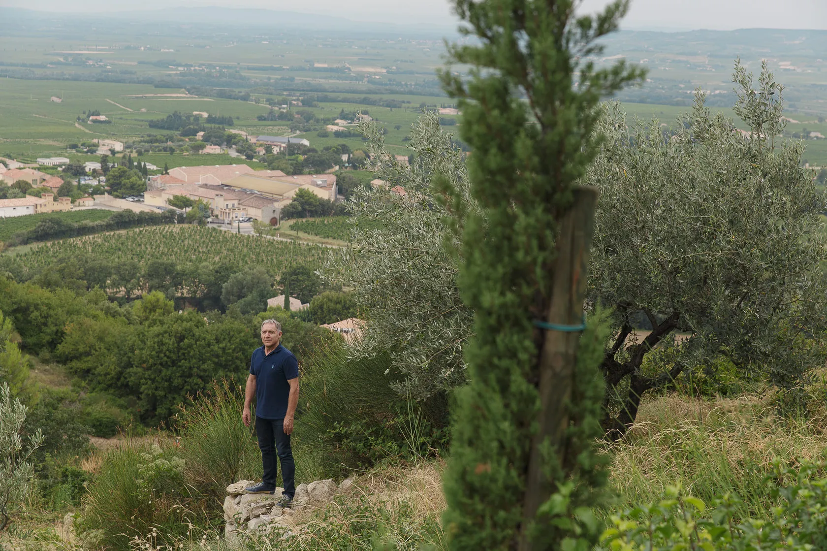 Yves Gras stands on a hillside among olive trees and cypresses above the plain.