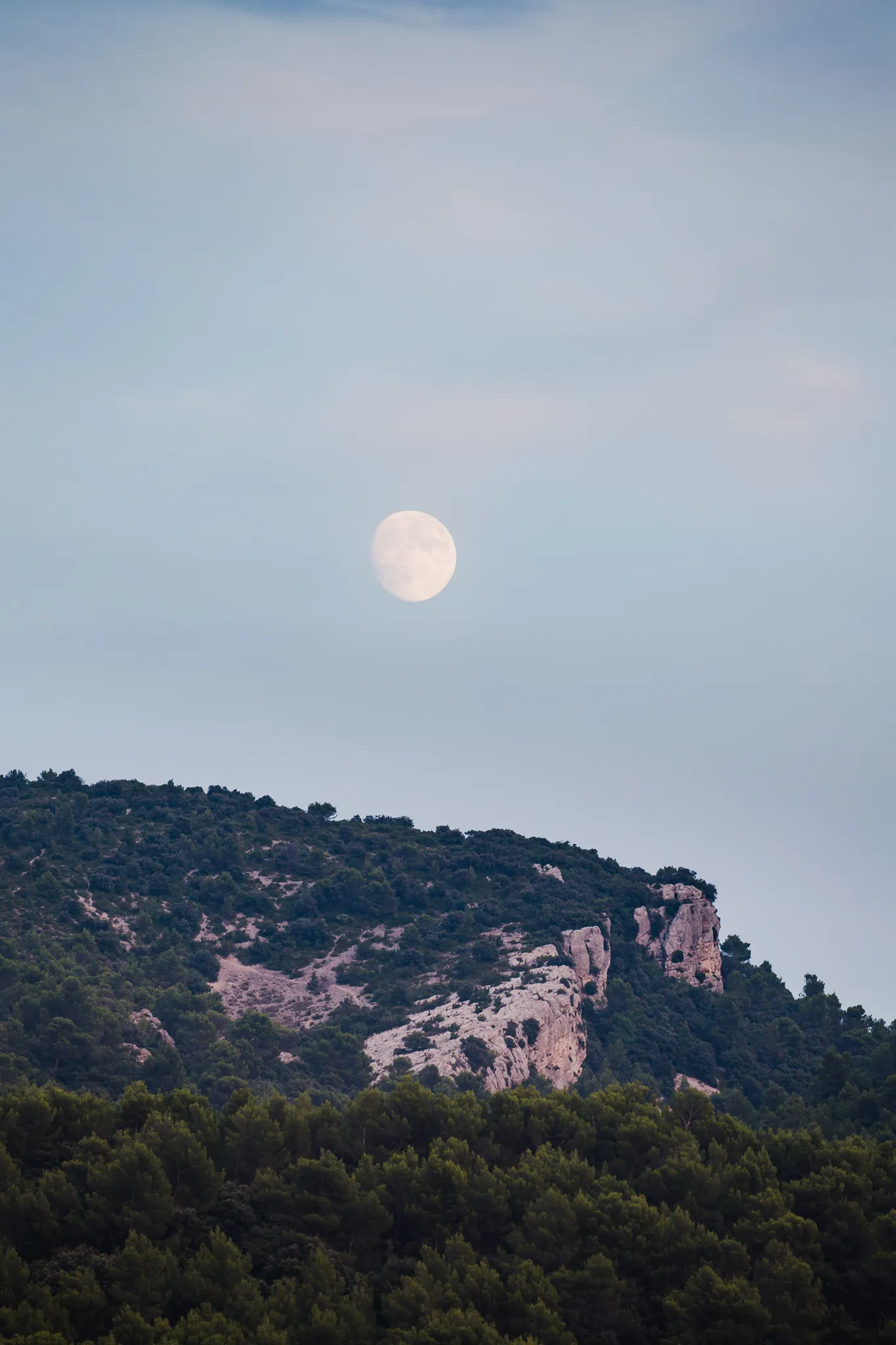 The moon rises over a wooded, rocky ridge at dusk.